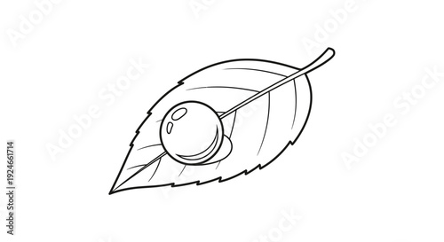 Single dewdrop on a leaf, close-up, macro photography, nature, purity, freshness, clean, green