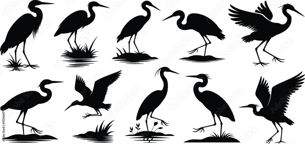 Obraz premium Collection of ten heron bird silhouettes in various poses including flying, standing, and walking, nature wildlife illustrations for design