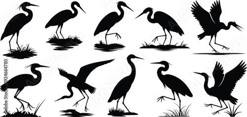 Collection of ten heron bird silhouettes in dynamic poses including flying, standing, and walking, wildlife nature illustrations for design