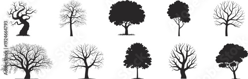 Collection of ten diverse tree silhouettes with unique branching structures and foliage, botanical forest illustrations for design and education