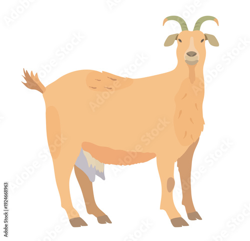 Cute farm animal. Cartoon goat isolated on white background. Vector hand drawn domestic animal clip art.