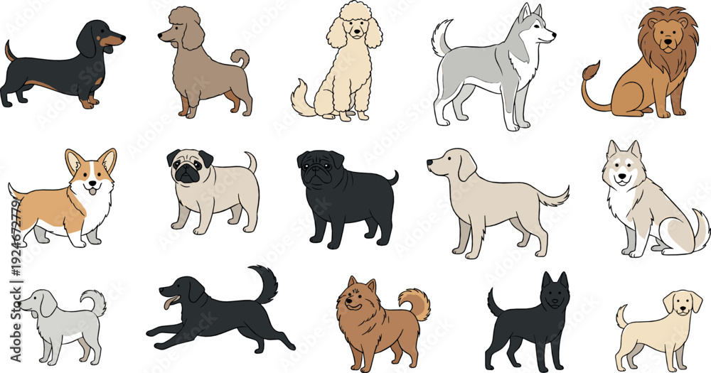 Fototapeta premium Cute Dog Breeds Collection Set with Dachshund, Poodle, Husky, Corgi, Pug and Other Domestic Puppies in Flat Cartoon Vector Style