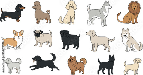 Cute Dog Breeds Collection Set with Dachshund, Poodle, Husky, Corgi, Pug and Other Domestic Puppies in Flat Cartoon Vector Style