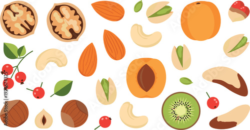 Fresh Fruits and Nuts Collection with Apricot, Kiwi, Almond, Walnut, Pistachio and Berries Healthy Food Flat Vector Illustration