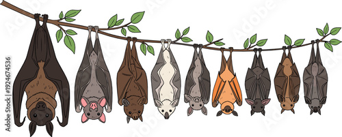 Hanging Bats Collection on Tree Branch with Different Species in Cute Hand Drawn Style Wildlife Vector Illustration