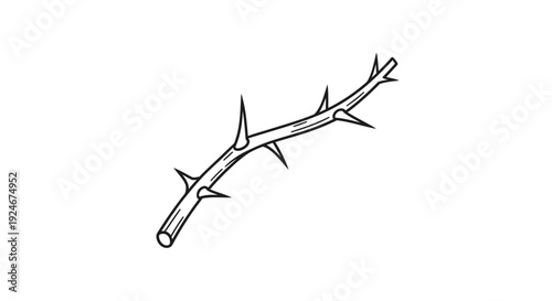 Thorny Branch, Sharp Spikes on Twig, Natural Danger Element, Black and White Line Art