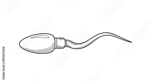 Sperm Cell Illustration: Microscopic View of Male Gamete for Reproduction and Biology Concepts