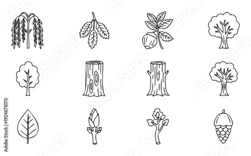 Line drawing icons of various tree and plant elements including a weeping willow, bushy trees, tree stumps, leaves, a bud, and a pine cone for naturethemed graphic design projects and