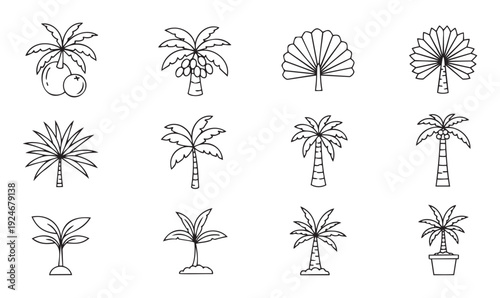 Collection of various tropical palm trees with different foliage and fruits in outline style, perfect for summer vacation graphics, travel guides, beach resort logos, and exotic nature