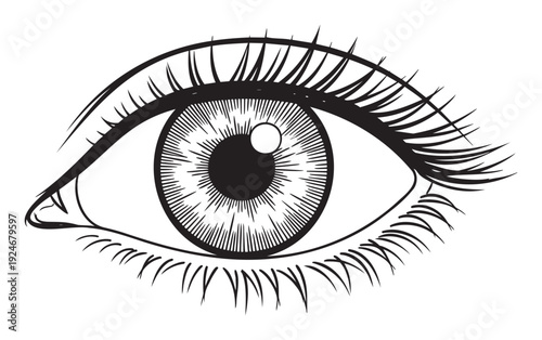 Detailed graphical representation of a human eye with distinct iris textures and flowing eyelashes perfect for visionrelated projects or optical themes