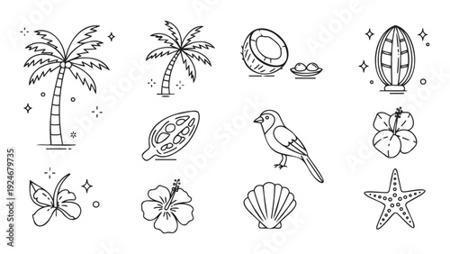 Collection of tropical island nature line icons featuring palm trees, coconuts, flowers, seashells, and birds perfect for travel and summerthemed digital projects