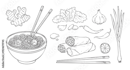 This outline features Asian cuisine essentials, including ramen noodles with chopsticks, spring rolls, lettuce, ginger, garlic, chili, and green onions, perfect for culinary content and