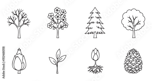 Collection of diverse plant and tree symbols representing various stages of growth and natural forms suitable for botanical studies environmental projects and educational graphics