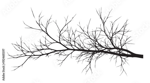 Graphic black silhouette of a bare deciduous tree branch with intricate twigs stretching across the frame, perfect for minimalist naturethemed overlays or stark seasonal graphic designs.