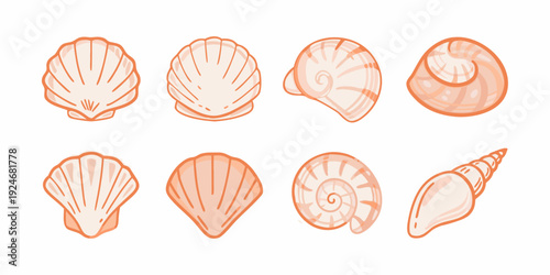 A collection of hand drawn orange toned seashells in various shapes