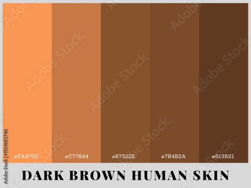 Streamlined dark tonal equilibrium across creative professional platforms