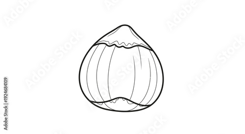 Hazelnut outline drawing, isolated on white background, healthy food ingredient, simple sketch