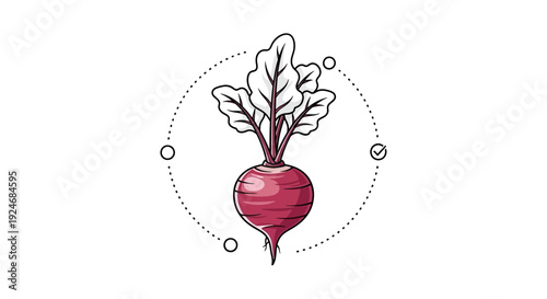 Hand-drawn illustration of a fresh beetroot with green leaves, surrounded by dotted circle and checkmarks