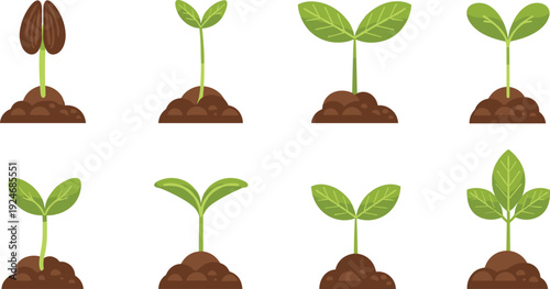 Seed Germination and Sprout Growth Stage Collection with Young Green Plants Emerging from Soil for Gardening and Agriculture Vector Design.
