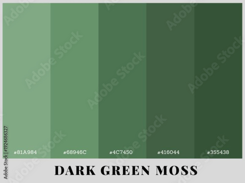 Structured dark palette harmony refining editorial brand presentation