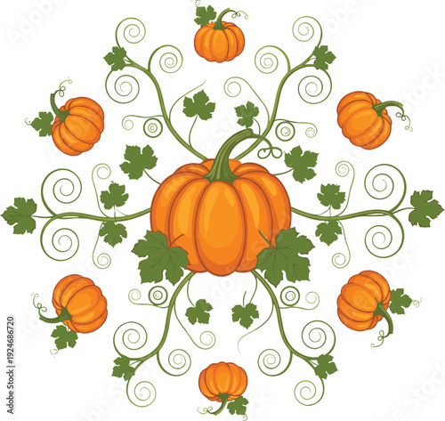 Decorative Pumpkin Vine Ornament with Swirling Leaves and Autumn Harvest Gourds for Thanksgiving, Fall Festival, and Seasonal Vector Design.