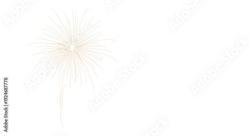 Golden Firework Bursting in White Sky
