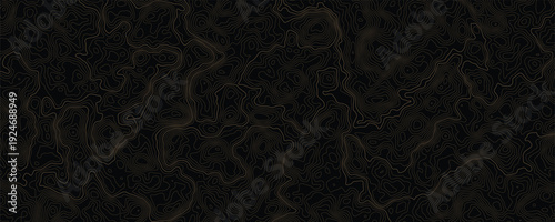 Modern topographic map design with black background.