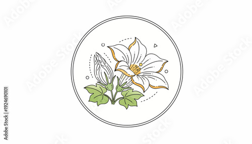 Delicate floral illustration of a blooming squash flower and bud with leaves in a circle