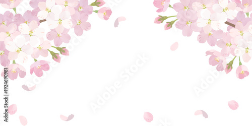 桜　水彩背景イラスト　くすみピンク