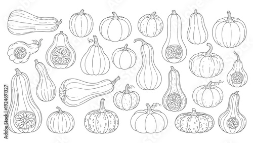 collection of various pumpkin and squash types in black and white line art style for autumn and halloween coloring.