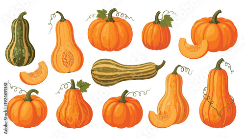 comprehensive collection of orange pumpkins and striped gourds in various shapes for autumn harvest and halloween themes.