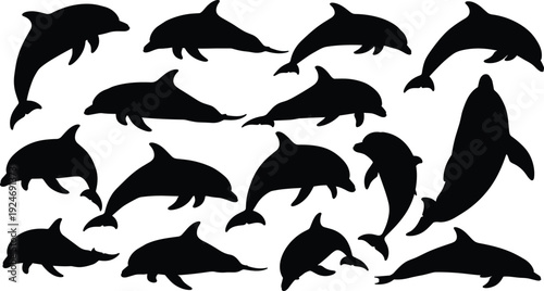 Black dolphin silhouettes set, marine animal vector illustration, ocean mammal shapes collection, jumping dolphins isolated on white background, aquatic life design elements for creative