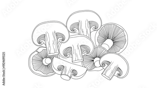 Detailed black and white line drawing of a pile of sliced mushrooms showing the gills and texture for cooking or botanical themed projects.