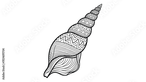 Detailed black and white line drawing of a spiral seashell decorated with various geometric and wavy patterns for coloring.