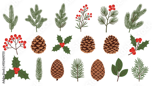 Collection of winter forest botanical illustrations including pine branches, berries, holly leaves, and various pine cones.