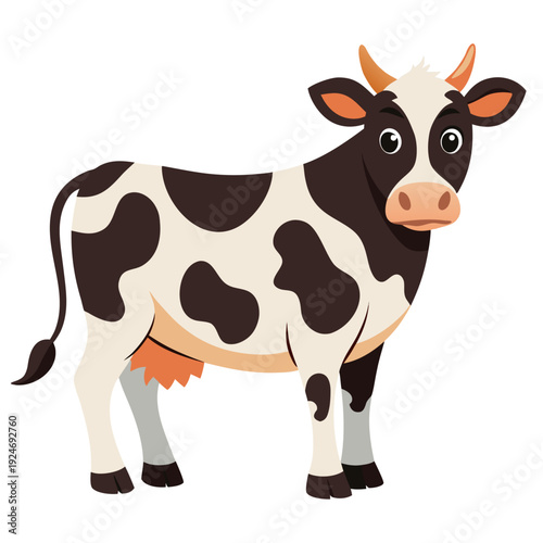 cow on white background