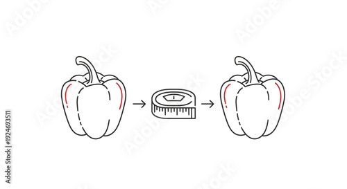 Bell Pepper Size Measurement with Tape Measure - Healthy Food Concept