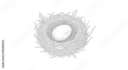 Bird's Nest with Cracked Egg, Symbol of New Life and Beginnings