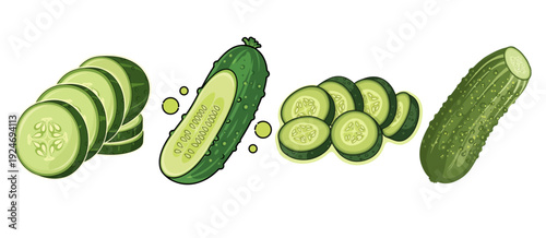 Collection of Four Cucumber Illustrations Featuring Whole, Sliced, and Pickled Variations