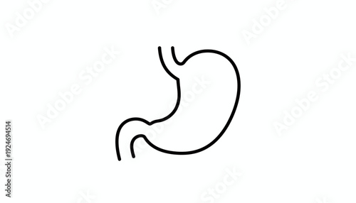 Simple Line Drawing of Human Stomach, Medical Icon, Anatomy Illustration