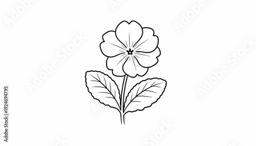 Simple Black and White Line Drawing of a Primrose Flower with Leaves