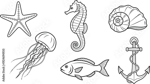 Collection of marine life and nautical icons including a starfish seahorse jellyfish fish seashell and anchor isolated on white background for design