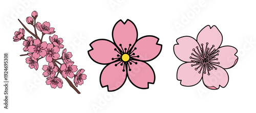 Collection of Three Pink Cherry Blossom Illustrations Including Branch and Single Blooms