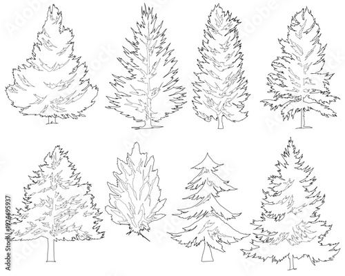 collection of minimalist pine tree sketches, highlighting the diverse natural geometry and rugged contours of coniferous flora in a clean, hand-drawn style.