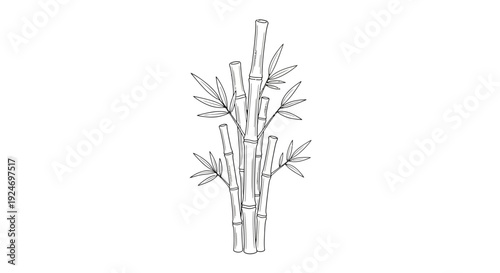 Minimalist Bamboo Stalks Illustration, Black and White Line Art, Nature Element