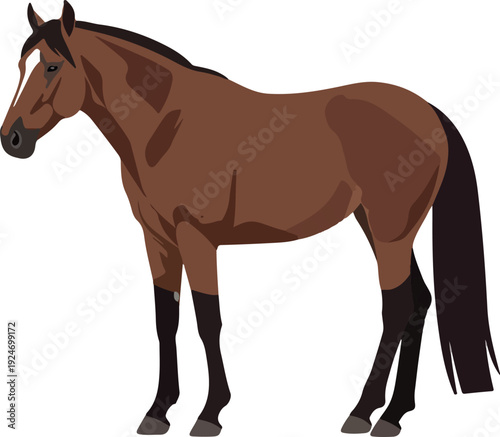 Brown Horse Standing on White Background Vector Illustration Minimalist Style