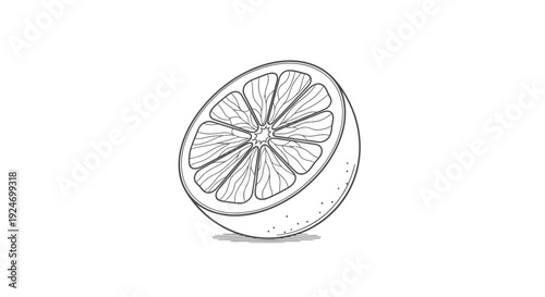 Hand-drawn sketch of a half orange slice with segments and peel, isolated on white background.