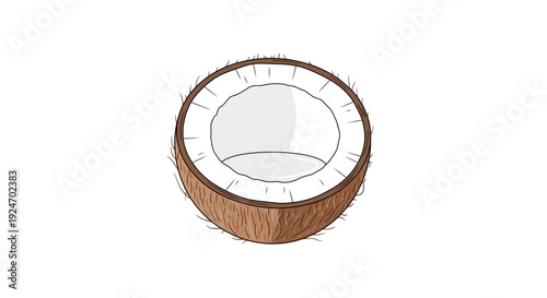 Half Coconut Isolated on White Background - Tropical Fruit Cut Open