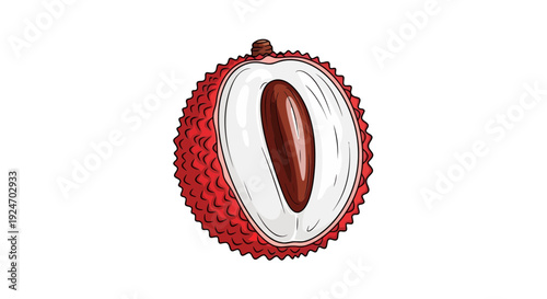 Fresh Lychee Fruit Cut in Half Showing Seed and White Pulp, Isolated on White Background