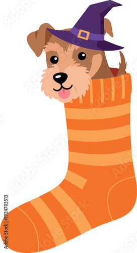 Cute Dog In Orange Striped Sock Wearing Witch Hat Happy Halloween
